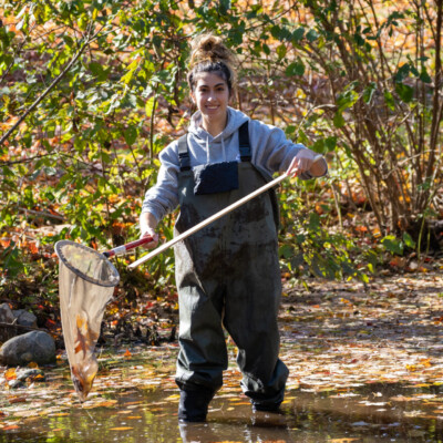 Cheshire Academy internatní škola outdoor