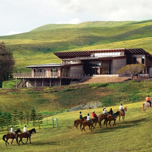 Hawai‘i Praparatory Academy – kampus, koně